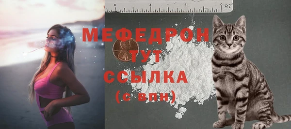 спайс Инта