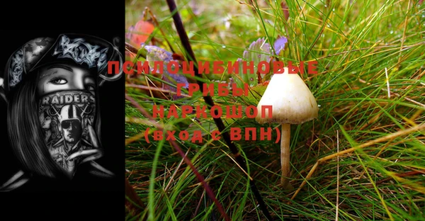 спайс Инта